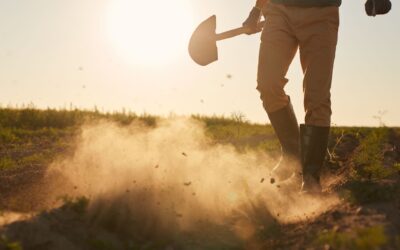 Aposentadoria rural: um guia completo sobre o tema