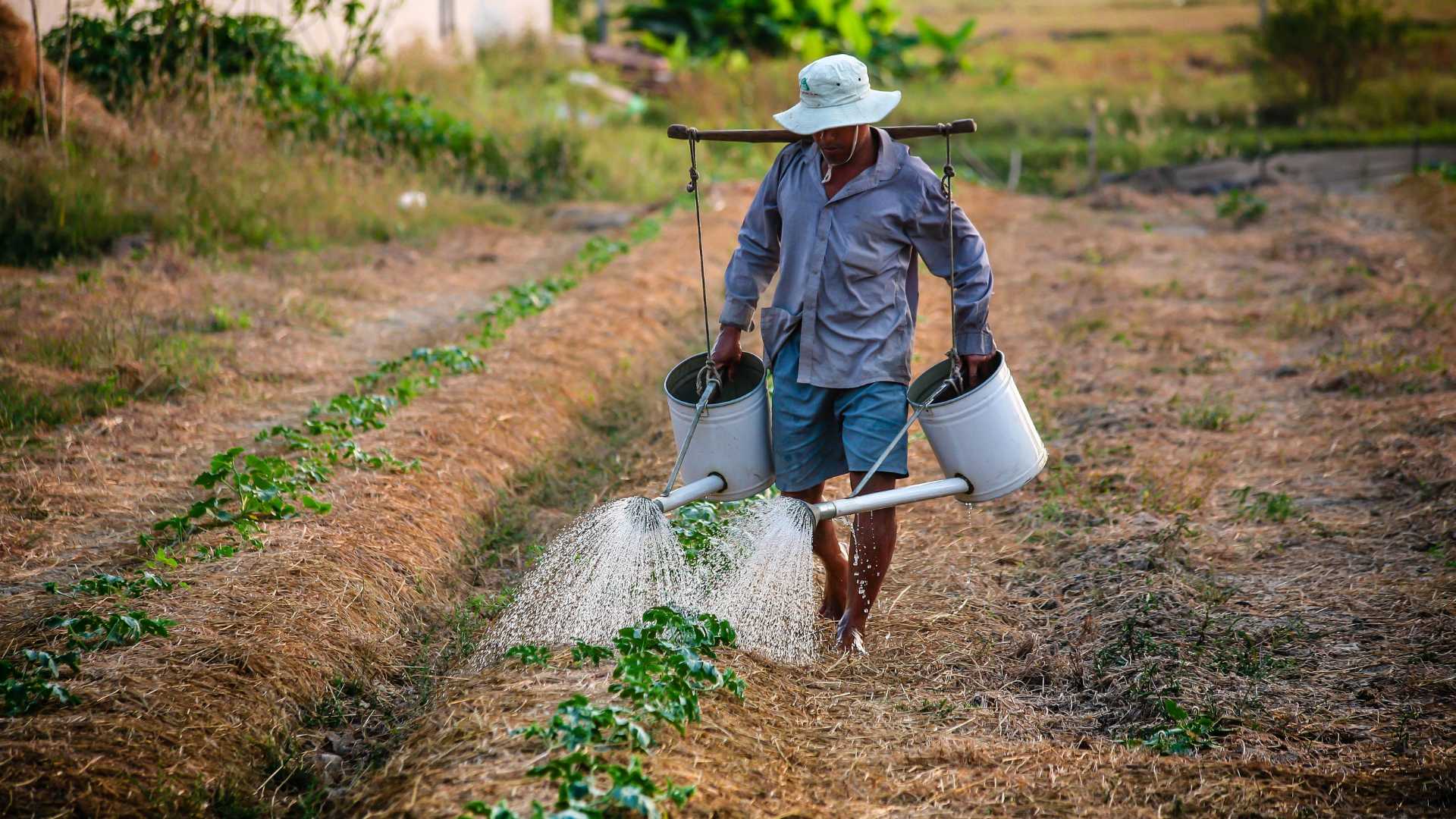 Impacto da reforma previdenciária na aposentadoria híbrida